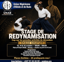Stage de redynamisation – Aïkido Adultes